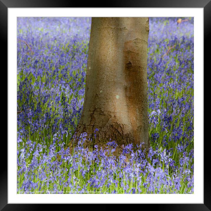 bluebells Framed Mounted Print by Simon Johnson