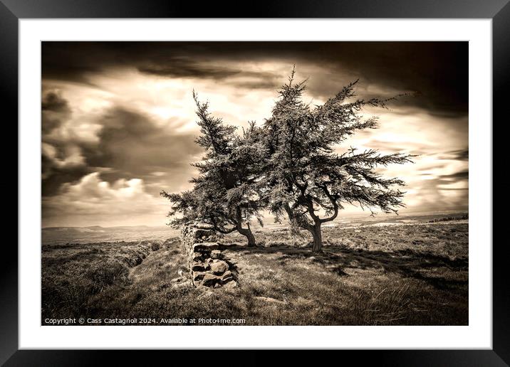 The Twins of Easby Moor - North Yorkshire Framed Mounted Print by Cass Castagnoli