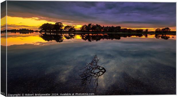 Hatchet Pond Reflections Canvas Print by Robert Bridgewater