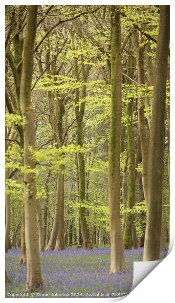 Plant tree Print by Simon Johnson