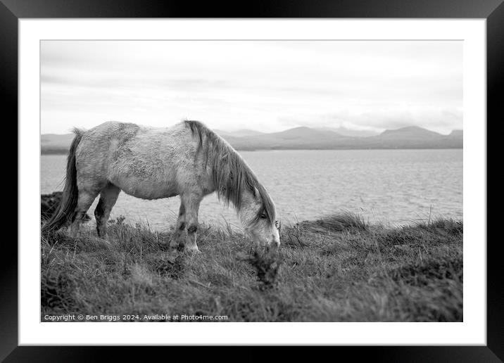 A wild horse on a cliff Framed Mounted Print by Ben Briggs