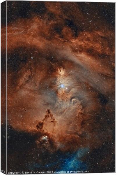 NGC 2264 & Cone  Nebula Canvas Print by Dominic Gareau