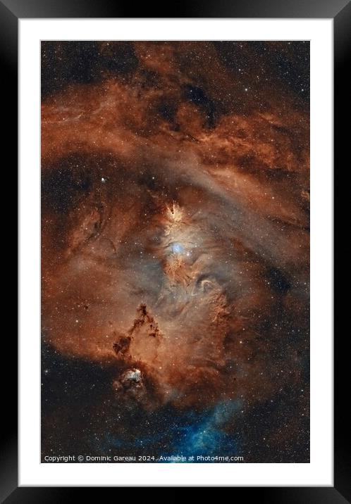 NGC 2264 & Cone  Nebula Framed Mounted Print by Dominic Gareau