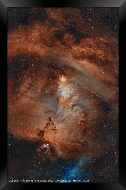 NGC 2264 & Cone  Nebula Framed Print by Dominic Gareau