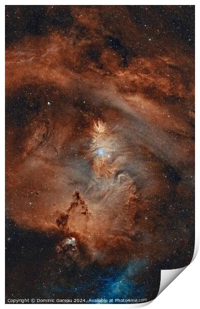 NGC 2264 & Cone  Nebula Print by Dominic Gareau