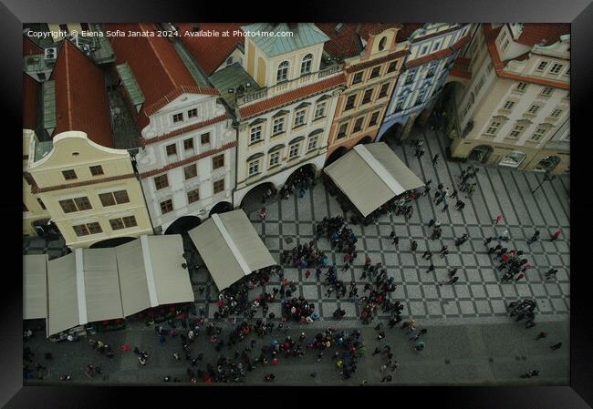 Prague's old Town Square Framed Print by Elena Sofia Janata