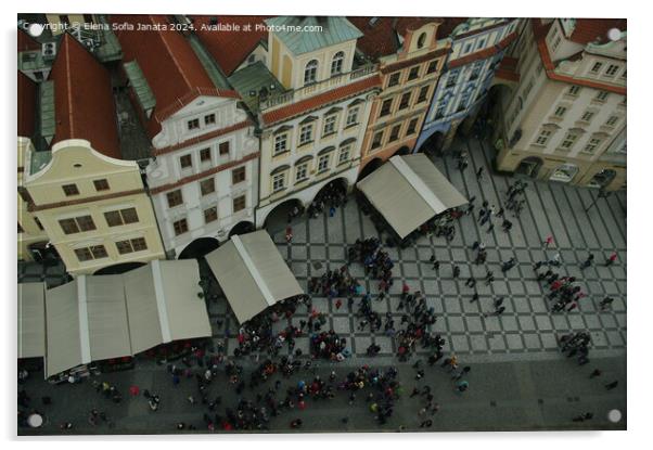 Prague's old Town Square Acrylic by Elena Sofia Janata