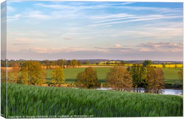 Green rye field and rural landscape on the sunset time. Canvas Print by Sergey Fedoskin