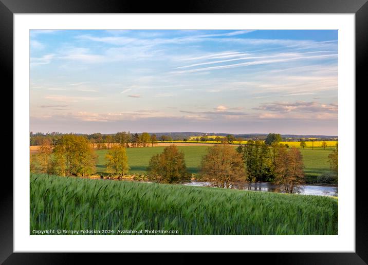 Green rye field and rural landscape on the sunset time. Framed Mounted Print by Sergey Fedoskin