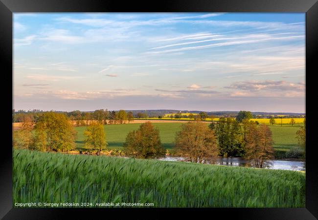 Green rye field and rural landscape on the sunset time. Framed Print by Sergey Fedoskin