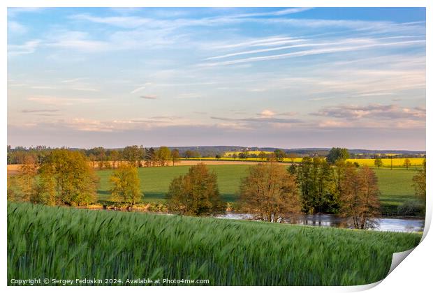 Green rye field and rural landscape on the sunset time. Print by Sergey Fedoskin