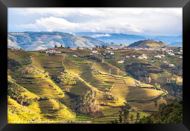 View of the Douro valley with the vineyards of the terraced fiel Framed Print by Laurent Renault