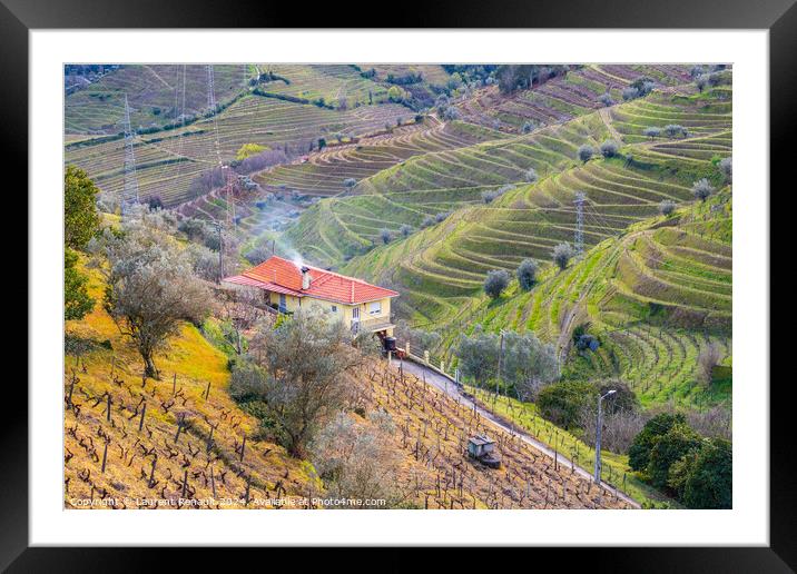 View of the Douro valley with the vineyards of the terraced fiel Framed Mounted Print by Laurent Renault