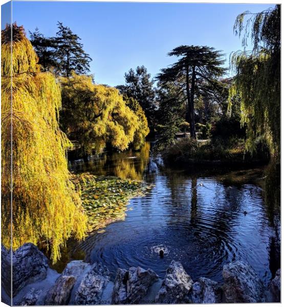 Autumn park lake and willow tree Canvas Print by Robert Galvin-Oliphant