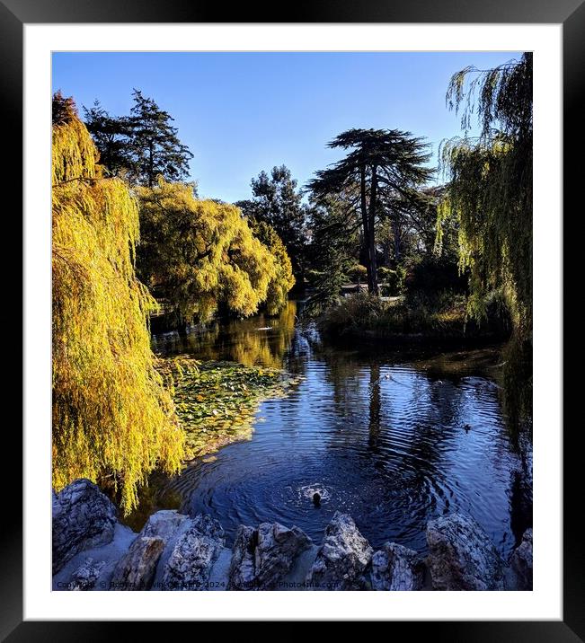 Autumn park lake and willow tree Framed Mounted Print by Robert Galvin-Oliphant
