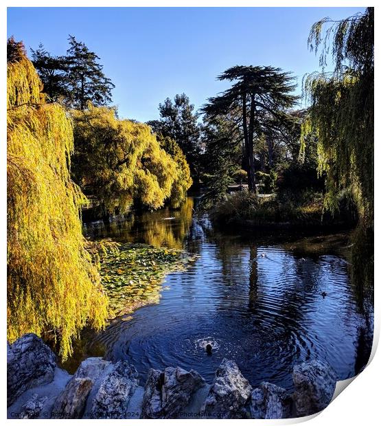 Autumn park lake and willow tree Print by Robert Galvin-Oliphant
