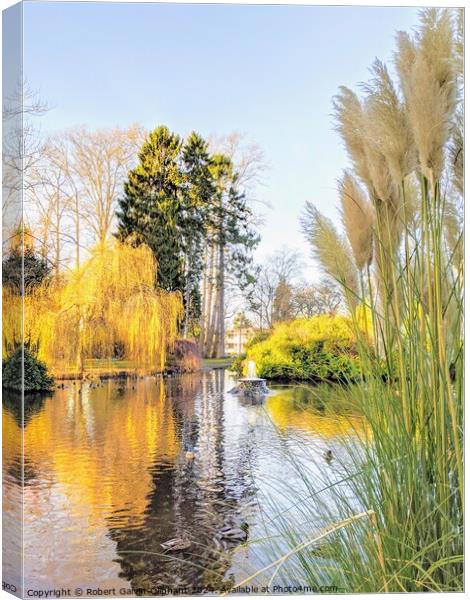 Pampas grass by park pond Canvas Print by Robert Galvin-Oliphant