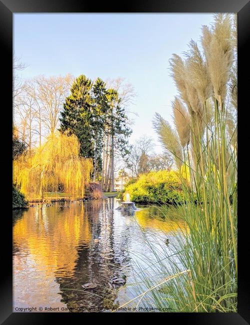 Pampas grass by park pond Framed Print by Robert Galvin-Oliphant