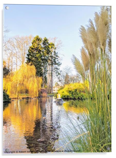 Pampas grass by park pond Acrylic by Robert Galvin-Oliphant