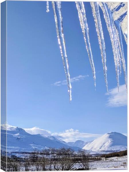 Snowy Iceland landscape and icicles  Canvas Print by Robert Galvin-Oliphant