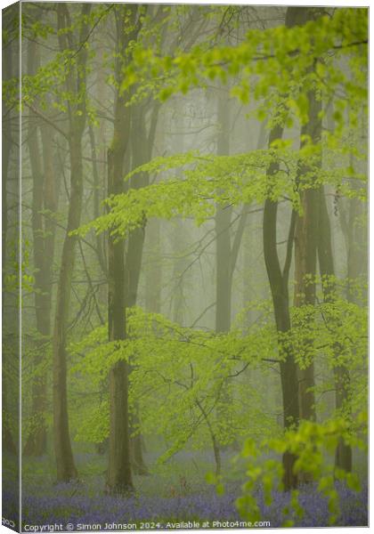 Misty Bluebell woodland Canvas Print by Simon Johnson