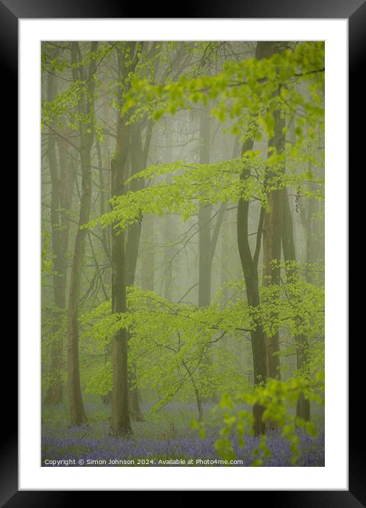 Misty Bluebell woodland Framed Mounted Print by Simon Johnson