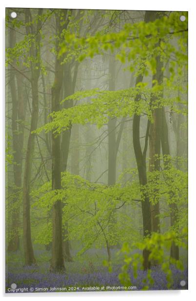 Misty Bluebell woodland Acrylic by Simon Johnson