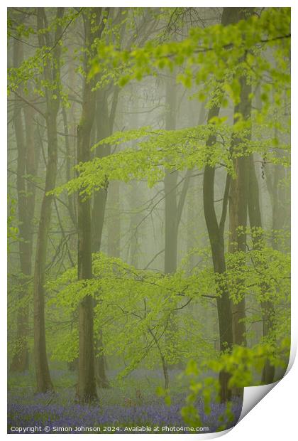 Misty Bluebell woodland Print by Simon Johnson