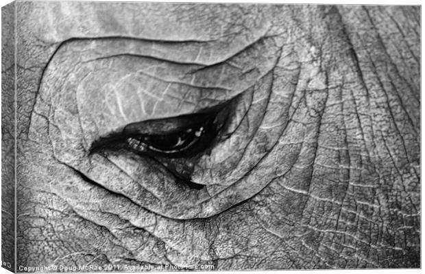 Rhino Canvas Print by Doug McRae