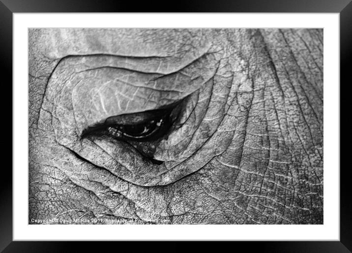 Rhino Framed Mounted Print by Doug McRae