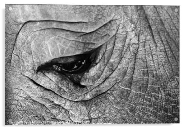 Rhino Acrylic by Doug McRae