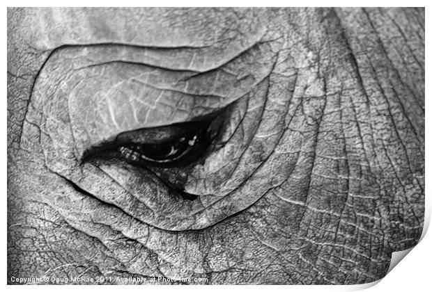 Rhino Print by Doug McRae
