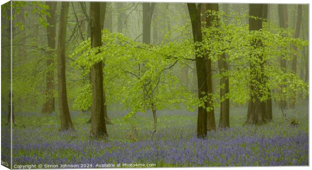 Bluebell woodland with soft light and morning mist Canvas Print by Simon Johnson