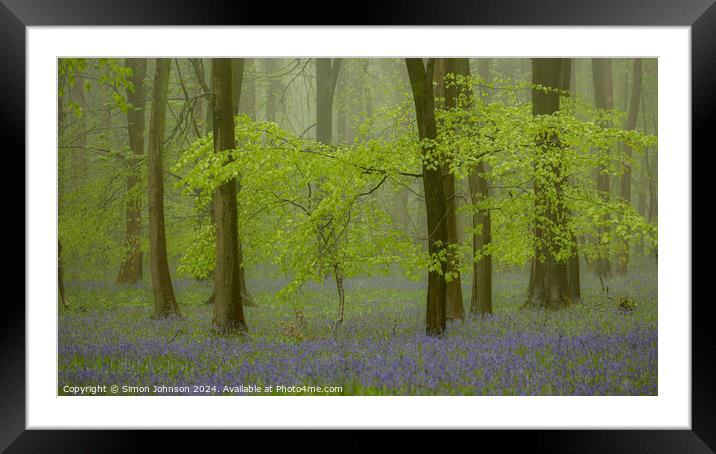 Bluebell woodland with soft light and morning mist Framed Mounted Print by Simon Johnson