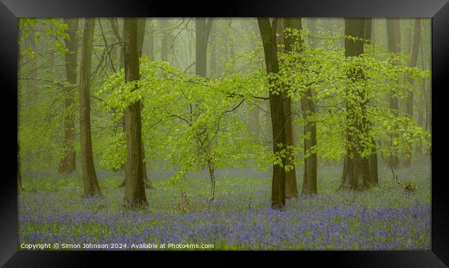 Bluebell woodland with soft light and morning mist Framed Print by Simon Johnson