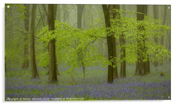 Bluebell woodland with soft light and morning mist Acrylic by Simon Johnson