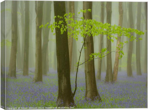 Bluebell Woodland Canvas Print by Simon Johnson