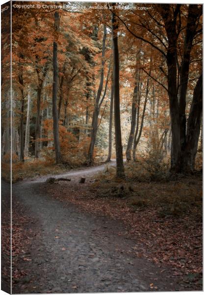 Path To Sunlight 2 Canvas Print by Christine Lake