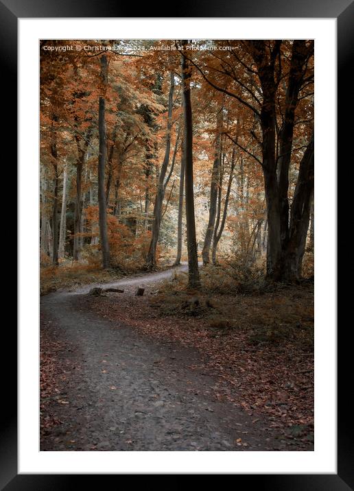 Path To Sunlight 2 Framed Mounted Print by Christine Lake