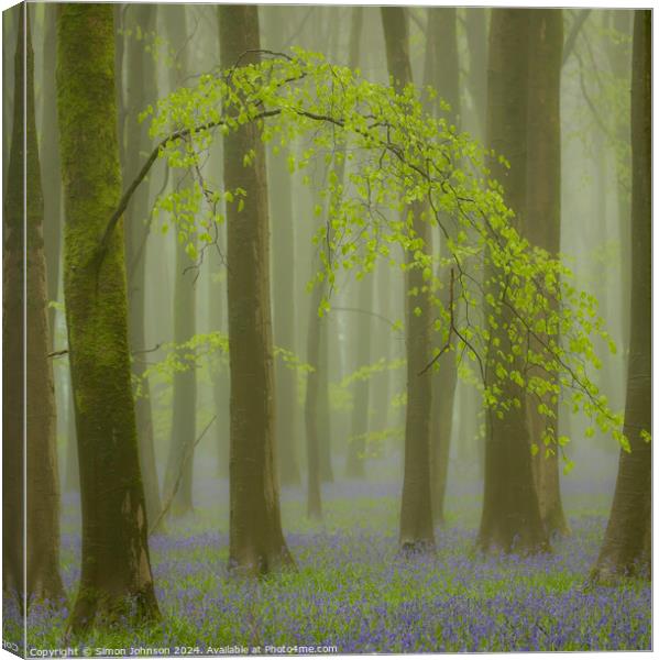 Bluebell woodland Canvas Print by Simon Johnson