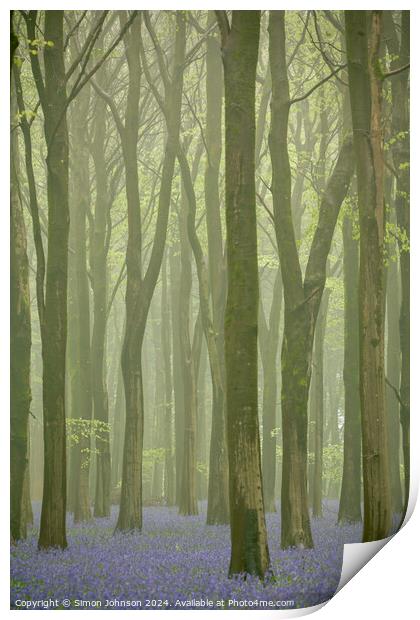 Bluebell woods Print by Simon Johnson
