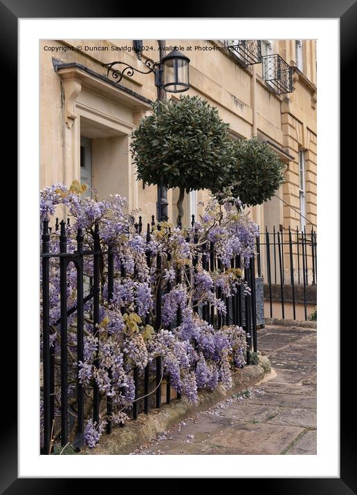 Wisteria in St James Square Bath Framed Mounted Print by Duncan Savidge