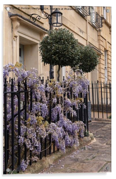 Wisteria in St James Square Bath Acrylic by Duncan Savidge