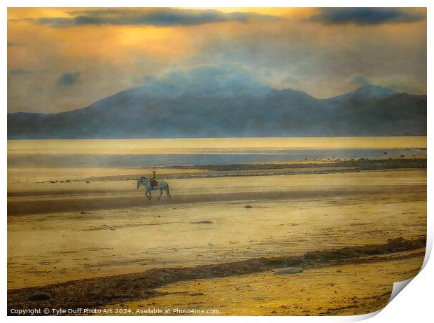 Horse and Rider At Sunset Print by Tylie Duff Photo Art