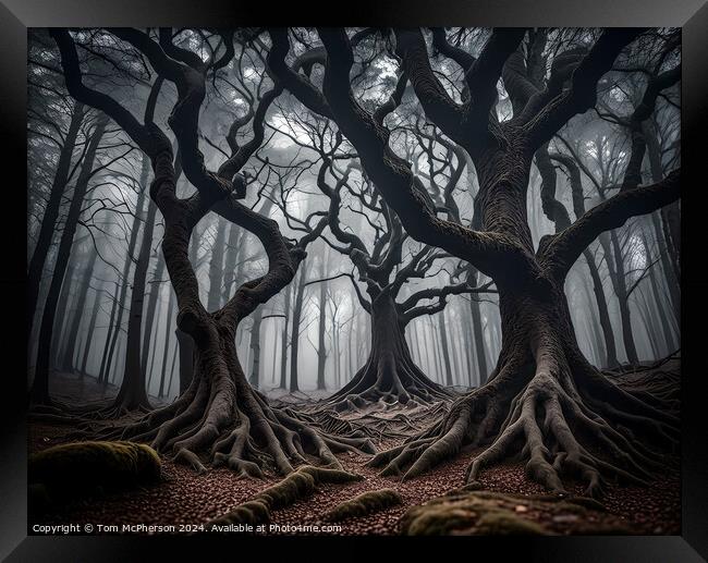 Dark Forest Framed Print by Tom McPherson