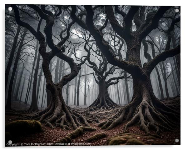 Dark Forest Acrylic by Tom McPherson