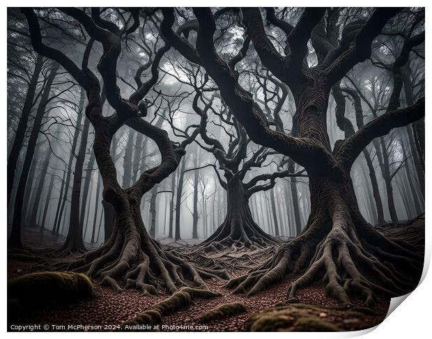 Dark Forest Print by Tom McPherson