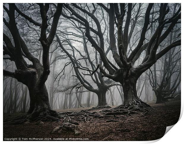 Dark Forest Print by Tom McPherson