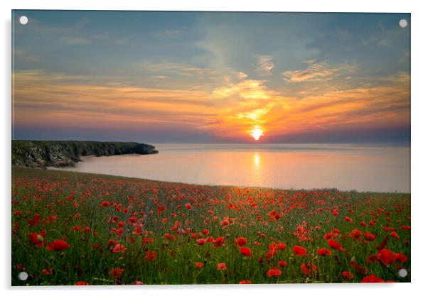 Cornwall Poppy Field Sunset Acrylic by Alison Chambers