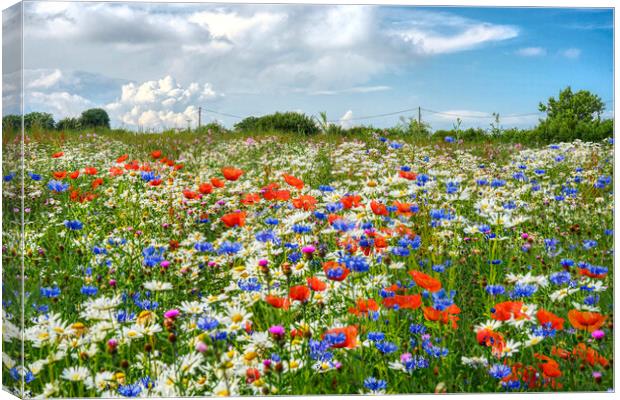 Wildflower Meadow Canvas Print by Alison Chambers